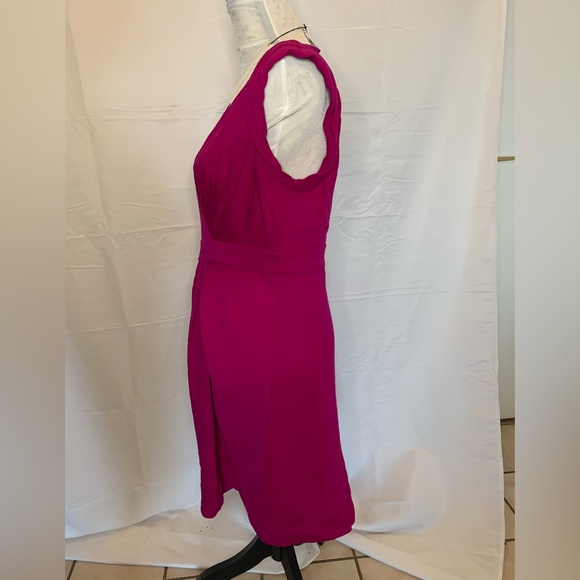 DIANE VON FURSTENBERG WHITLEY DRESS RASPBERRY SIZE 12 NEW WITH TAGS - Picture 4 of 9